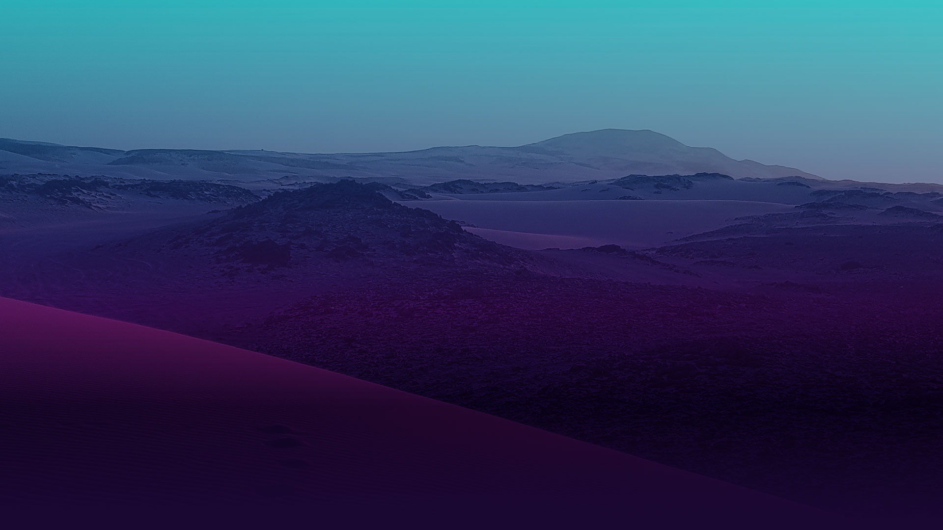 Ein Highlight auf Boa Vista ist die Deserto Viana - Eine Wüste mit kaltem Sand.