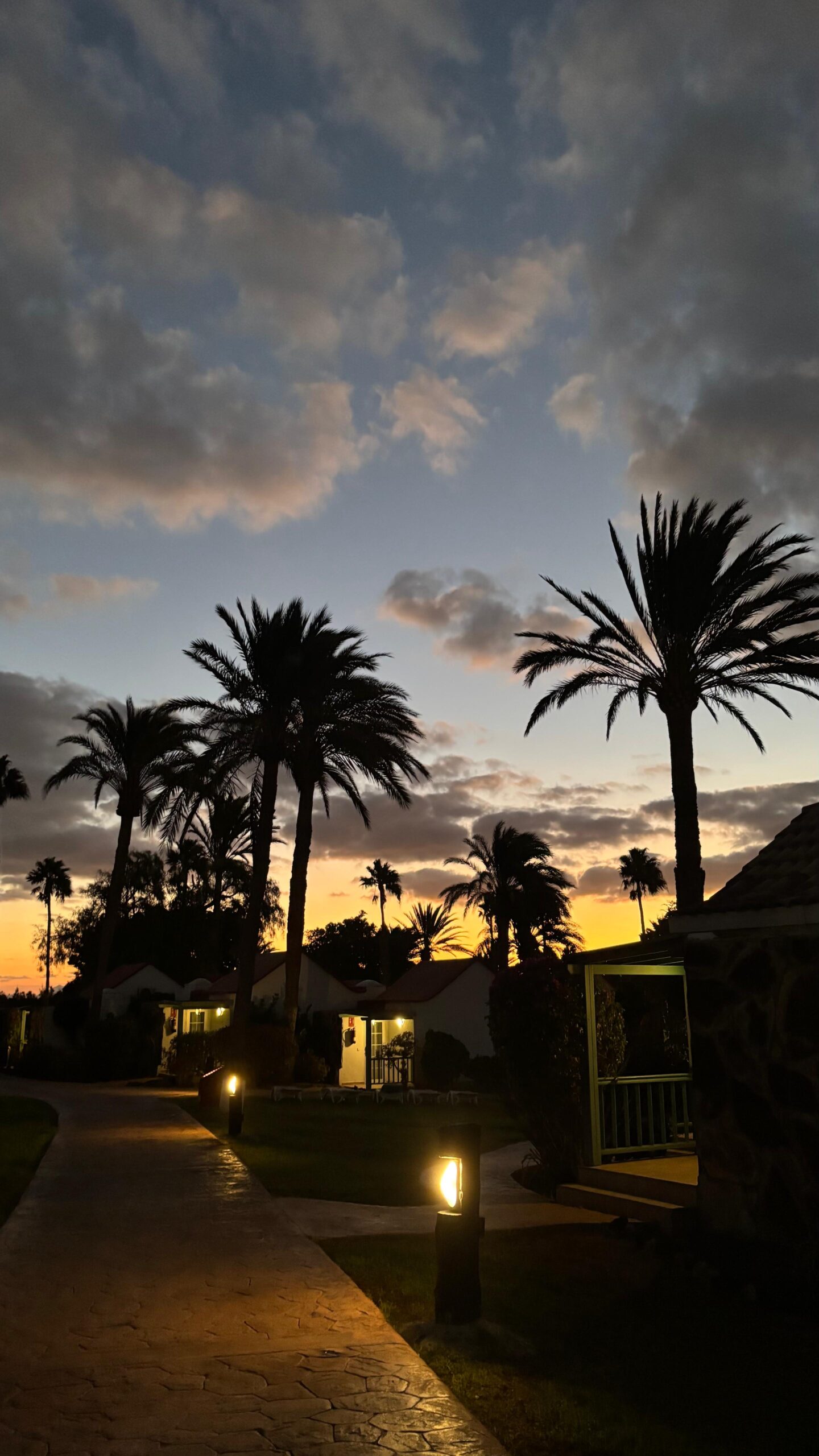 Sonnenuntergang mit Palmen im Aldiana Club Fuerteventura
