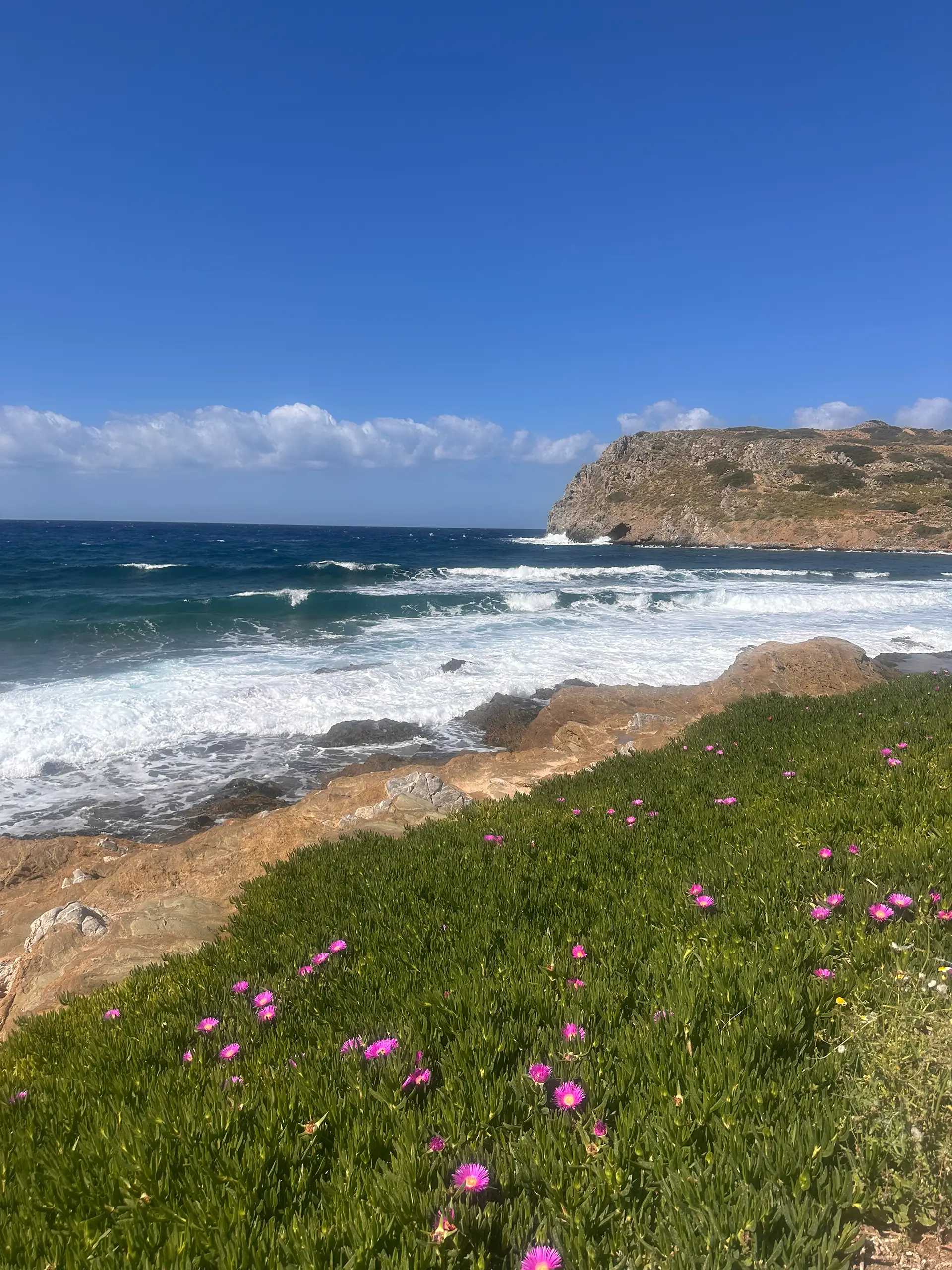 Palmenstrand Vai im Osten von Kreta: Wilde Küste, Wellen & Blüten.