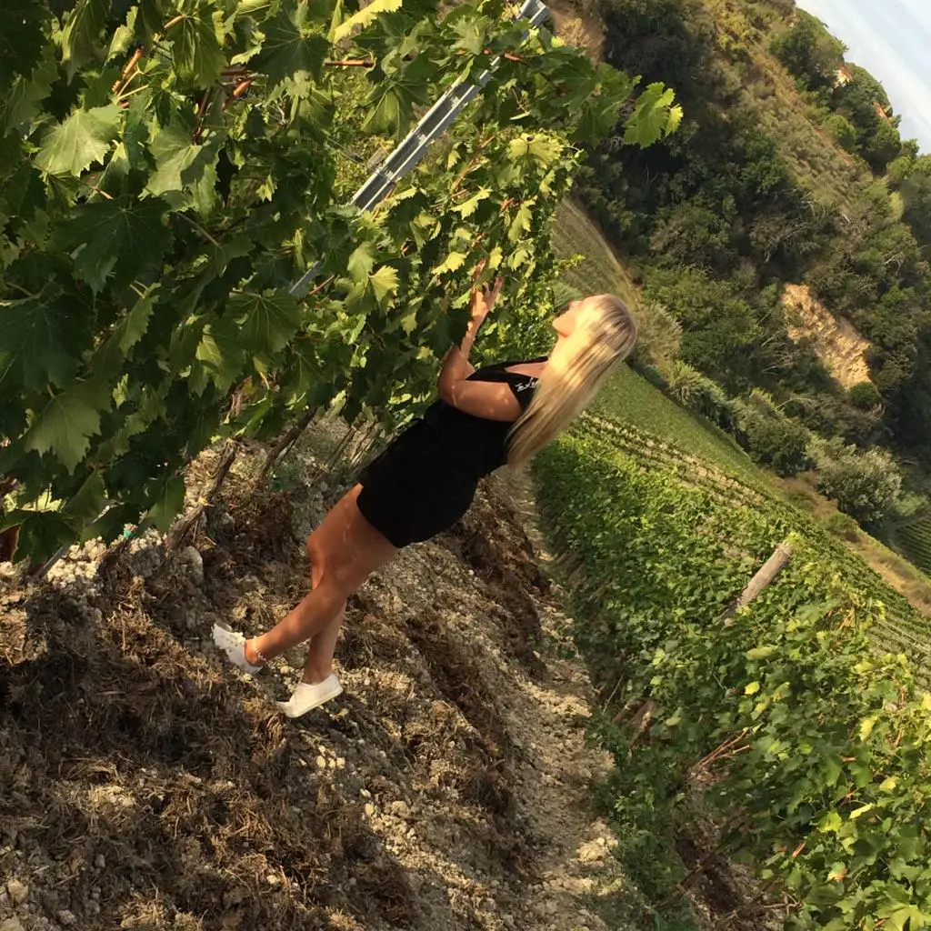 Reisende zwischen grünen Weinreben in der hügeligen Landschaft der Toskana