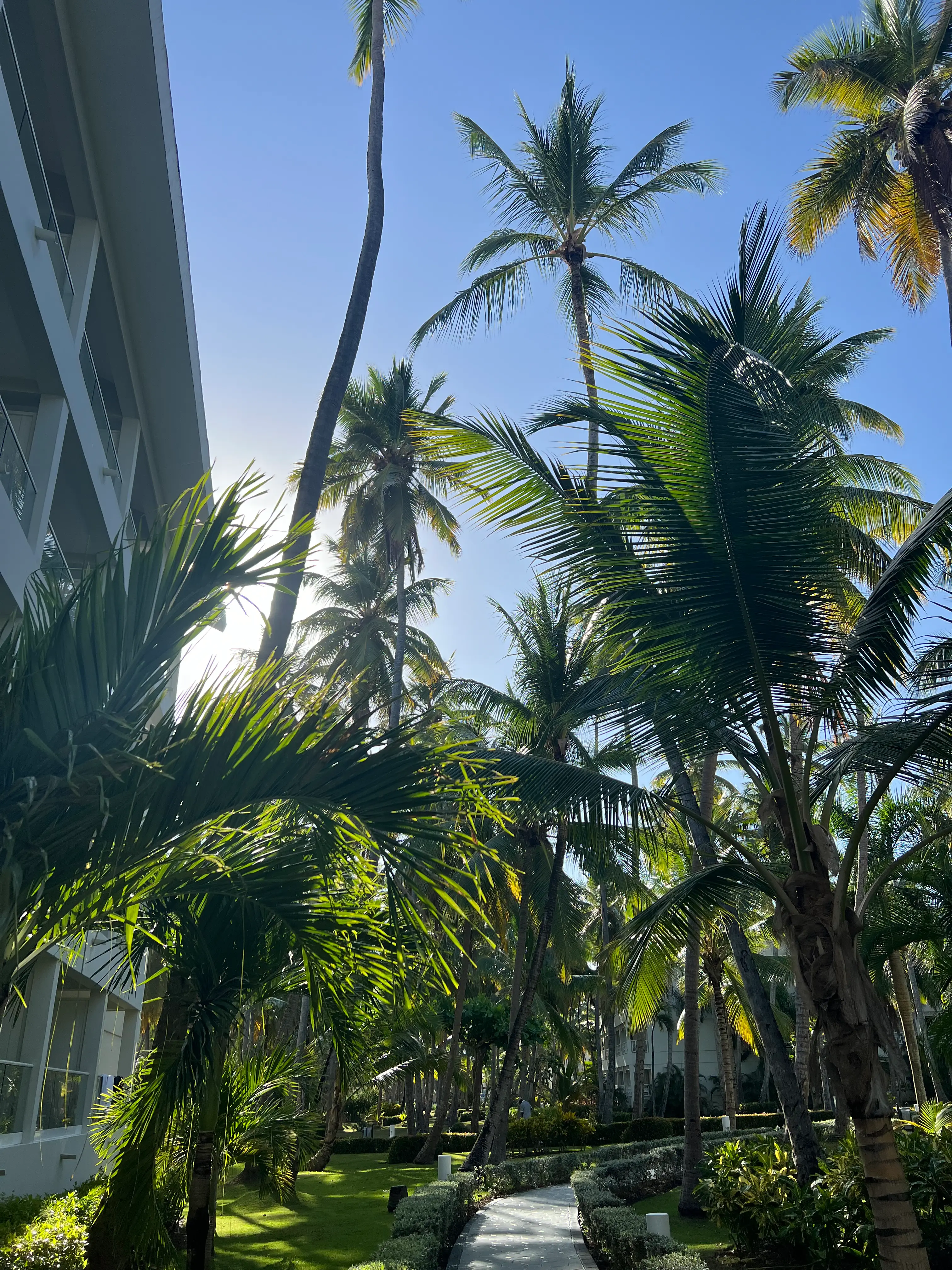 Tropischer Gartenweg zwischen Palmen und Hotelgebäuden im Vista Sol Punta Cana
